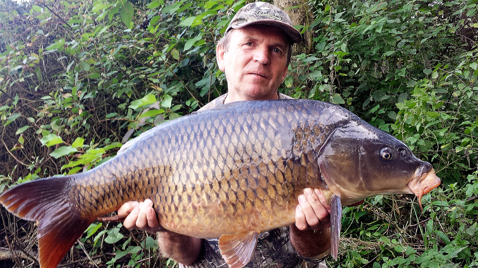 Screenshot 2017 09 28 19 10 09 (2)